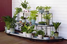 Plant Stands Indoor Lowes Plant Stands Outdoor Inside Plants Plant Stand Indoor