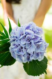 We did not find results for: Bridal Bouquets Made From Hydrangeas Lovetoknow