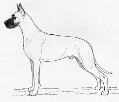 American pit bull terrier, american staffordshire terrier, staffordshire bull terrier, any mix of the previous breeds, or any other dog or breed deemed aggressive. Breed Standards Great Dane United Kennel Club Ukc