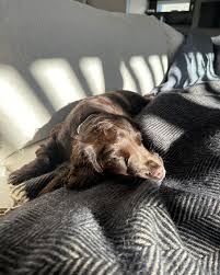 The last of the summer hols 💚