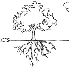 Black And White Outline Fall Tree Clipart Image Result For Sketch Of Tree With Roots Tree With Roots Drawing Tree Drawing Roots Drawing