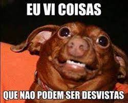Imagens Para Usar No Whatsapp Download Engracado Memes Memes De Animais