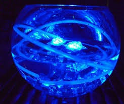 Light Up Led Ice Cubes Multi Color Lighted Centerpieces Glow Party Glowing Necklace