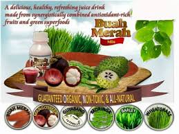Lihat juga resep snack mpasi 6+ pure buah naga with chiasead enak lainnya. Original Buah Merah Mix Pure Organic Antioxidant By Essensa Naturale Home Facebook