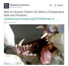 Chupacabra Gercek Mi Cupakabra Yakalandi Mi