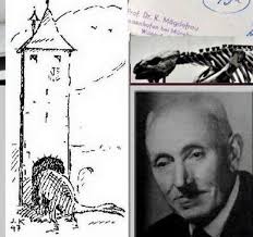 Naturhistorische Gesellschaft Nürnberg