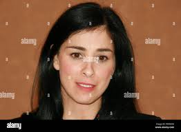 Silverman hi-res stock photography and images