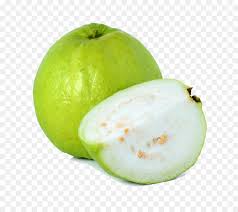 Kiwifruit (commonly shortened to kiwi in north america) or chinese gooseberry is the edible berry of several species of woody vines in the genus actinidia. Family Tree Background Png Download 1000 872 Free Transparent Common Guava Png Download Cleanpng Kisspng