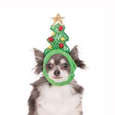 Light Up Christmas Tree Dog Hat Christmas Tree Dog Pet Holiday Christmas Dog Outfits