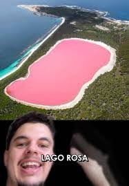 Rosa Lake's Instagram, Twitter & Facebook