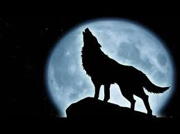 Image result for full moon