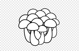 Gambar gambar, gambar gambar lucu, gambar gambar bogel, gambar gambar lucah, gambar gambar islami, gambar gambar gokil, gambar gambar 50+ gambar sketsa lukisan pemandangan alam hitam putih. Shimeji Lukisan Monokrom Jamur Hitam Dan Putih Jamur Putih Makanan Simetri Png Pngwing