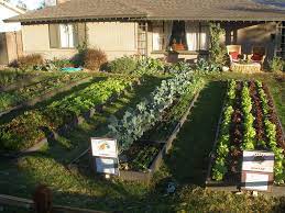 Maybe you would like to learn more about one of these? Farmyard Localharvest