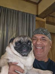 Yankees Baseball Team Support and Discussion