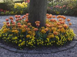 First day is also most fruitful day for planting root crops. How Do You Plant Ground Cover Or Flowers Under Trees