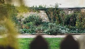 Nahezu alle kräuter wachsen problemlos auch in töpfen, kübeln und anderen pflanzgefäßen. Haydn Krautergarten Haydnhaus Eisenstadt