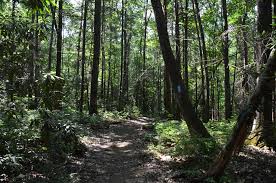 0.0 upper chattahoochee river national parks. Chattahoochee National Forest Andrews Cove Trail Rocky Mountain Loop And Appalachian Trail From Indian Grave Gap To Tray Mountain Helen Georgia Hiking The Appalachians And Beyond