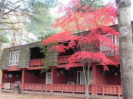 Image result for Blackthorne