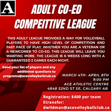 Looking for a tier 3/4 FEMALE RS to sub tonight @9pm Volleydome!!!