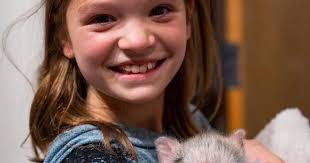 Sultan: Child denied treatment by UnitedHealth gets outside help — and a pig