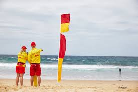 Purple flag means dangerous marine life spotted. Help Celebrate A National Icon This Australia Day Surf Life Saving