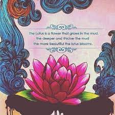 Wabisabitherapy Wabisabitherapy On Twitter Lotus Quote Lotus Flower Quote Flower Quotes Inspirational