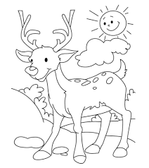 Prepare yourself for some coloring fun with totally free printable coloring pages. Top 20 Deer Coloring Pages For Your Little Ones
