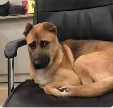 When he turns out to be the man is that man that he said he was going to be: