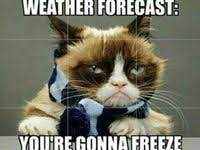 18 Cold Weather Memes Ideas Bones Funny Weather Memes Winter Humor