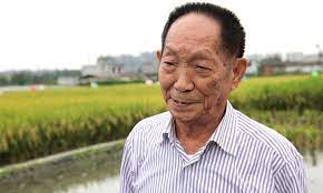 Yuan longping, the agronomist who is known for boosting rice harvests in china during the cultural revolution era with hybrid varieties, died on saturday, according to the official xinhua news agency. Ewotv8jgbd Trm