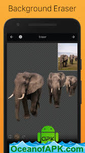 You can replace, crop, zoom and erase the background of any image. Photocut Background Eraser Cutout Photo Editor V1 0 0 Plus Apk Free Download Oceanofapk