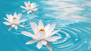 Maybe you would like to learn more about one of these? Free Download 26 More Android Wallpapers For Spring 2013 1920x1080 For Your Desktop Mobile Tablet Explore 64 Spring Pictures Wallpaper Free Desktop Wallpaper Spring Spring Wallpapers For Desktop