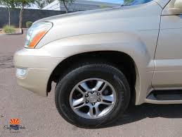 Image result for Desert Sage 2009 GX