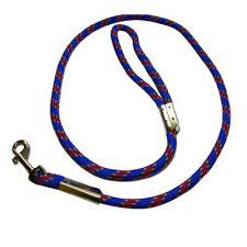 petshop product panosundaki pin