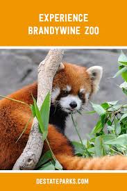 Experience Brandywine Zoo In 2020 Endangered Animals Zoo Wildlife Conservation
