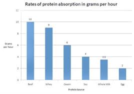 protein absorption rate chart