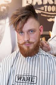 Wahl Professional“ šukuosenų šou