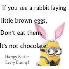 My chocolate bunny is larger than your chocolate bunny. Love Quotes Funny Easter Quotesgram
