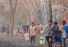Viele dieser immigranten haben hier eine neue heimat gefunden. Gesellschaft Staufen Paraguay E V Brande In Paraguay