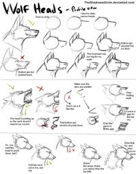 Finish drawing in the eyes, and then add some detailing on the brow of the wolf. How To Draw A Wolf Head Easy For Kids Novocom Top