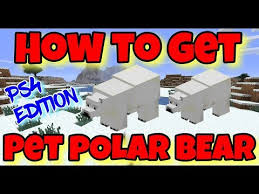 You will need animals to continue, example leather. How To Breed Polar Bears In Minecraft Frustratedsurfer