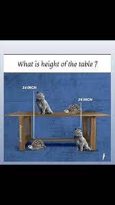 Pin By Ankur Shrivastava On Brain Teasers Brain Teasers Teaser