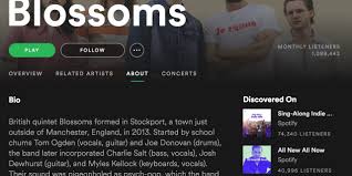 This should give you an accurate idea of how to structure your bio. Profile Artist