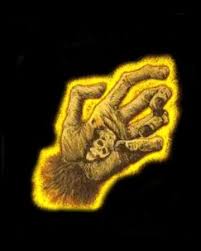 Does anyone remember the old movie, the monkey's paw? Monkey S Paw The Evil Wiki Fandom