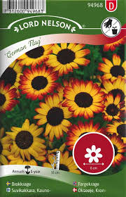 Image result for Glebionis carinata `German Flag`