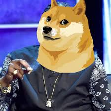 Download, share or upload your own one! All I Do Is Hodl Doge Dogecoin