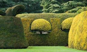 Carex Garden Design By Carolyn Mullet Topiary Garden Hedges Hedges