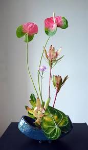 But my worst experience was standing in food vendor lines. 28 Anthurium Plants Ideas Anthurium Anthurium Plant Beautiful Flowers