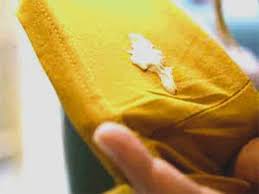 Koltuktan sakız lekesi nasıl çıkar? Hali Ve Koltuktan Sakiz Nasil Cikar