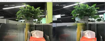 Heic is the file extension for heif format. Heic Vs Jpg Comparison Convert Heic Photos From Ios 11